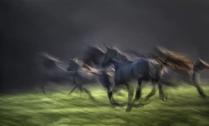 Malovrh, Milan: Galopp