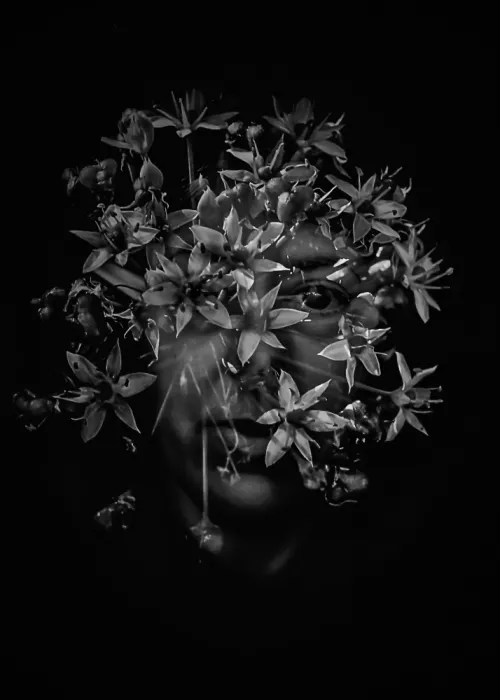 Depaola, Mia: Flores en blanco y negro