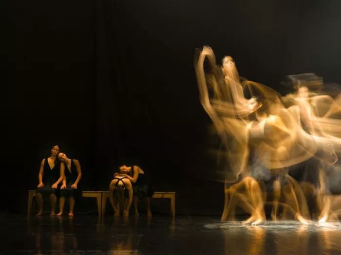 Kirzh, Svetlana: La danse