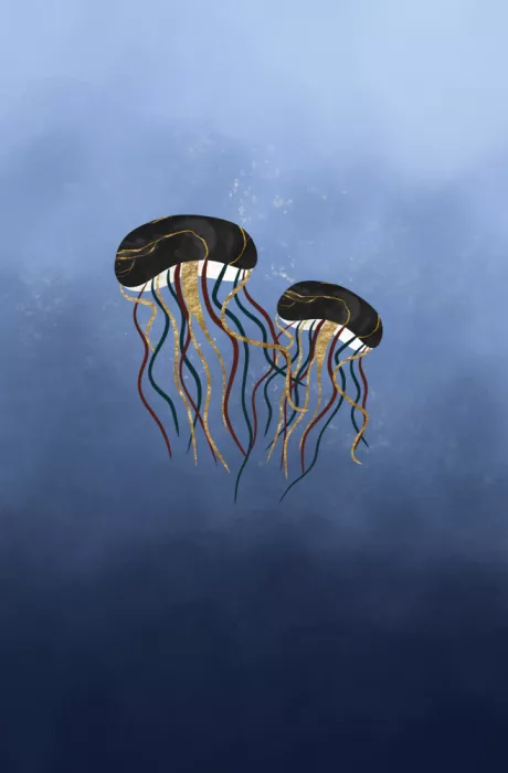 Volfova, Anne-Marie: Medusa