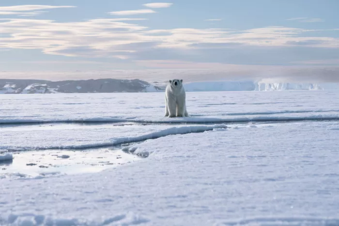 Nagpal, Manish: Guardian of the glacier