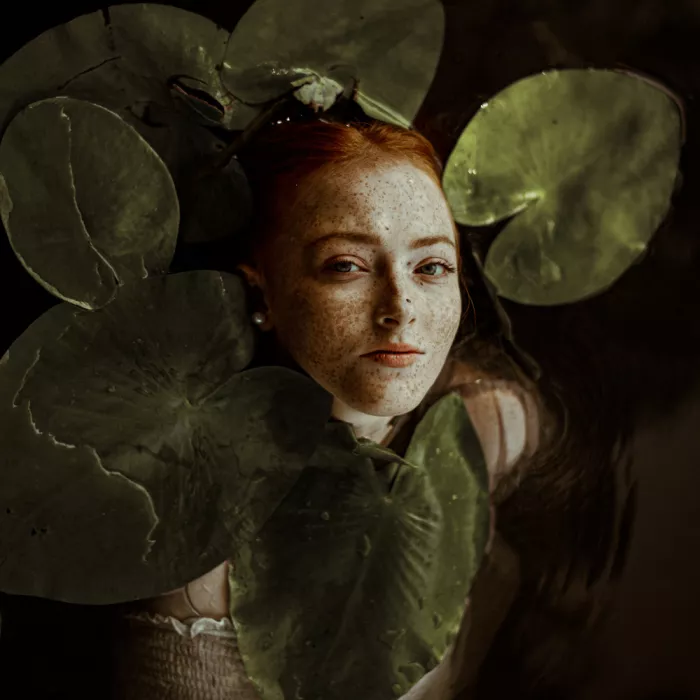 Biňovcová, Barbora: Wasserlilien