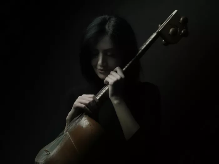 Hasheminasab, Moein: Persisches Musikermädchen