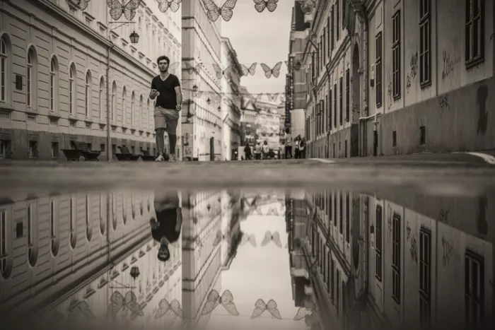 Tomici, Alexandru: Riflessioni
