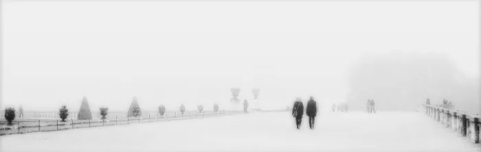 Cseresnjes, Anna: In den Nebel