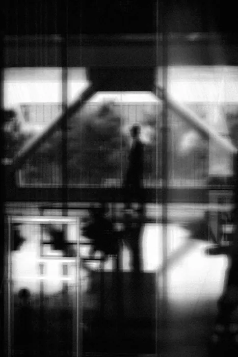 ISHIKAWA, HISASHI: Silhouette