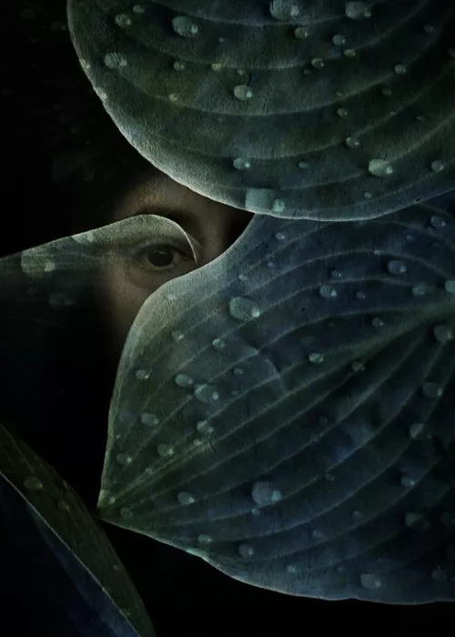Depaola, Mia: Retrato de una introvertida