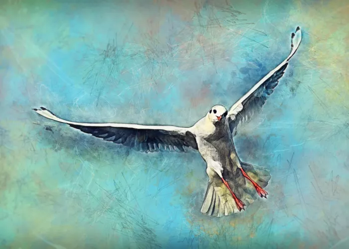 Jaszke, Justyna: Animal Gaviota Pájaro Acuarela Arte Animal
