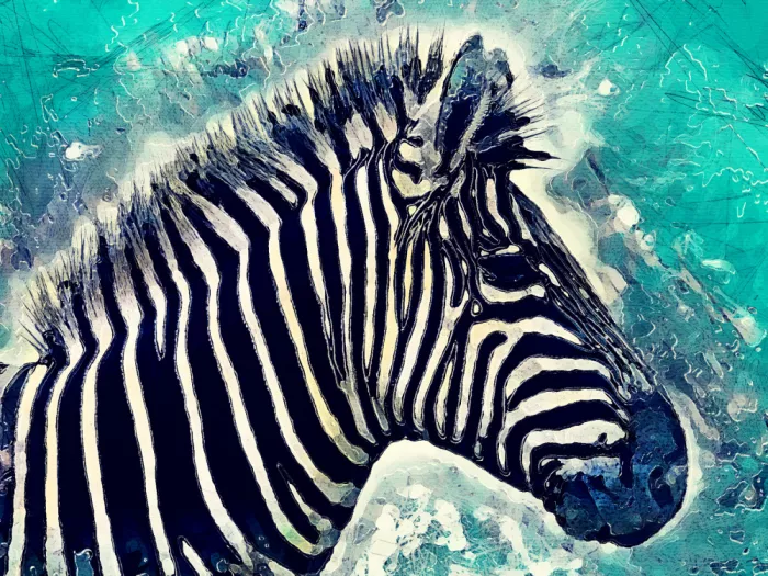 Jaszke, Justyna: Animal Zebra Watercolor Animal Art