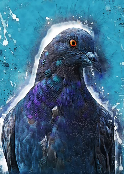 Jaszke, Justyna: Animal Dove Bird Watercolor Animal Art