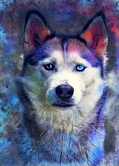 Jaszke, Justyna: Animal Perro Husky Acuarela Arte Animal
