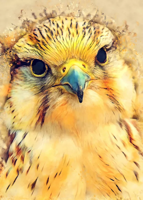 Jaszke, Justyna: Animal Falcon Watercolor Animal Art