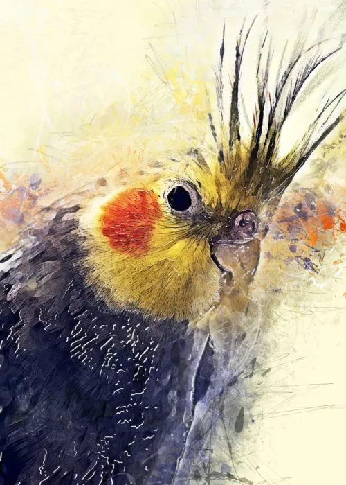 Jaszke, Justyna: Loro Cacatúa Acuarela Arte Animal