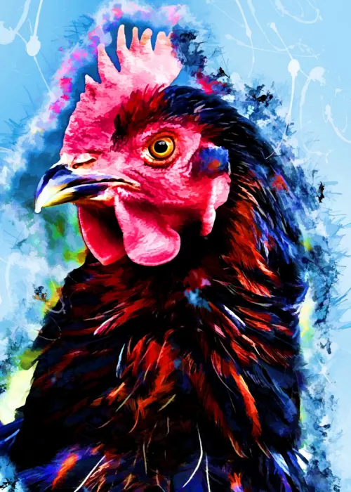 Jaszke, Justyna: Tier Hahn Aquarell Tierkunst