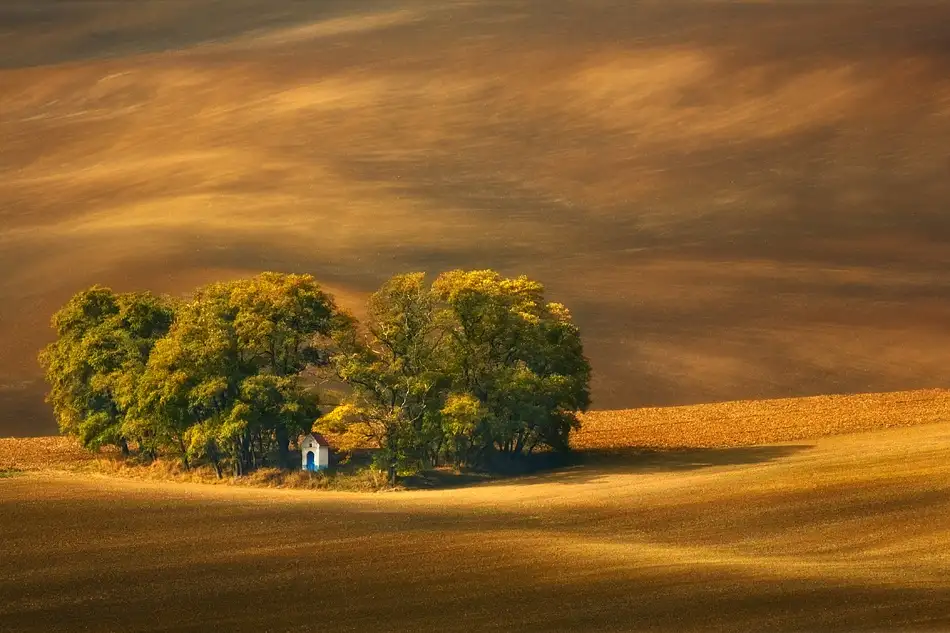 Browko, Krzysztof: Campi della Moravia...