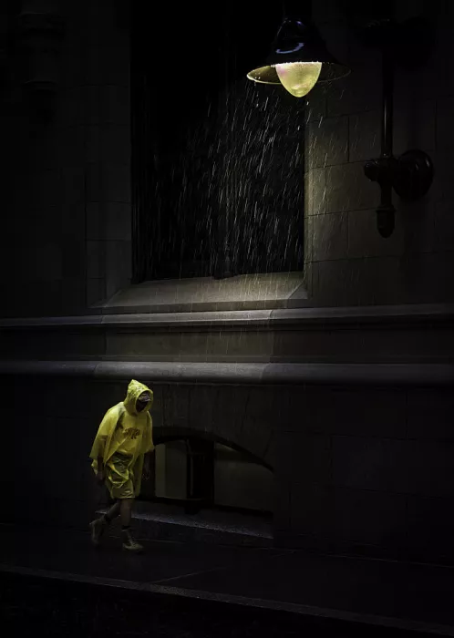 Zhao, Emma: Yellow Raincoat in the rain III
