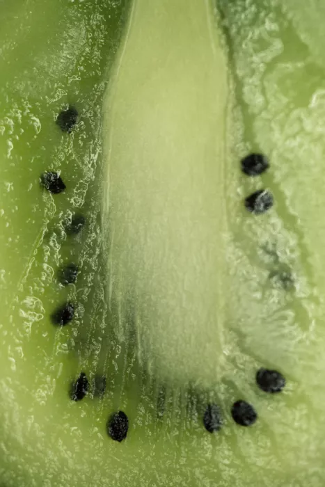Colligan, Lynann: Kiwi