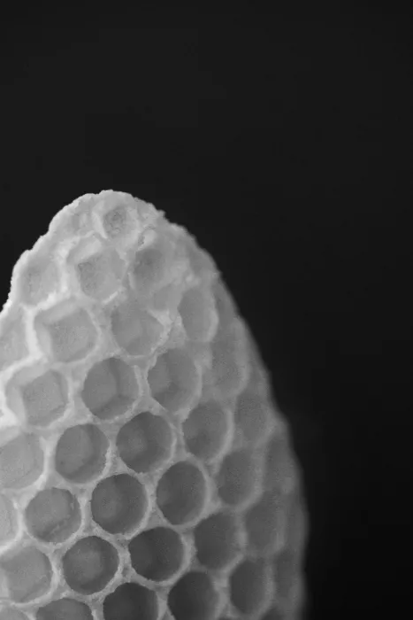 Colligan, Lynann: Hexagonální harmonie č. 1