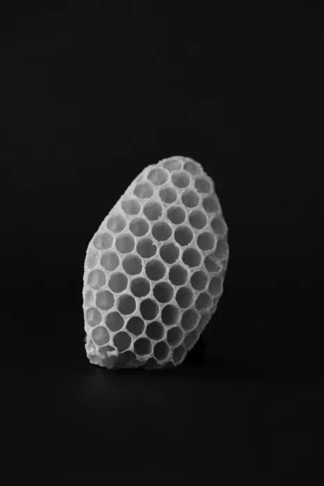 Colligan, Lynann: Armonía Hexagonal nº 3
