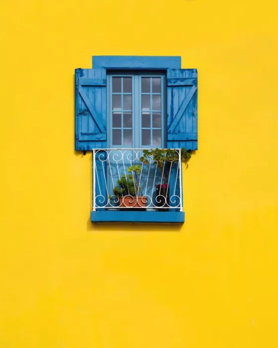 Li, Allan: Window