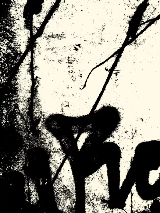 Strnad, Petr: Lignes texturées et formes audacieuses