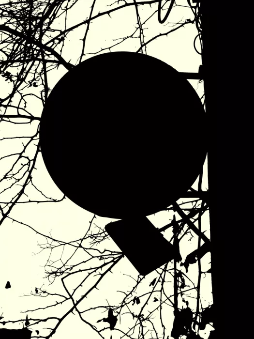 Strnad, Petr: Silhouettes de branches