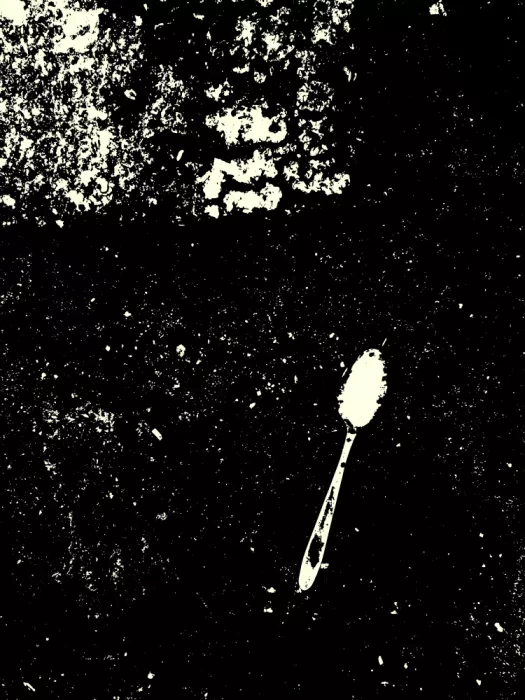 Strnad, Petr: Perdido en monocromo