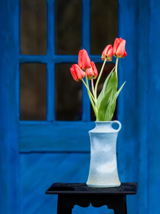 Calin, Silvia Rucsandra: Tulips and blue