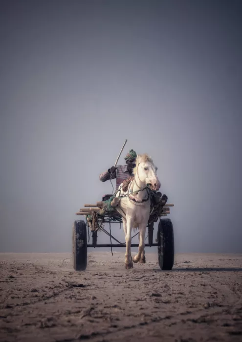 Majid, Washiful: A caballo