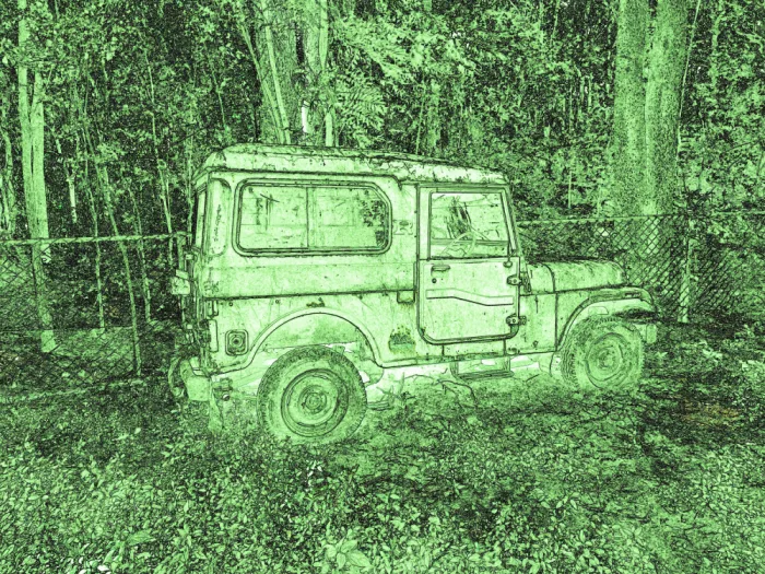 ch, Santhosh: Sentinella della foresta