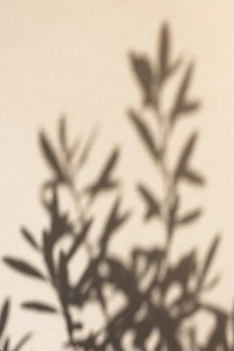 Böhmer, Mareike: Summer Shadows 6