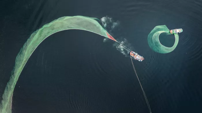 Tuan, Tan Nguyen: Reti da pesca prese in prestito in mare