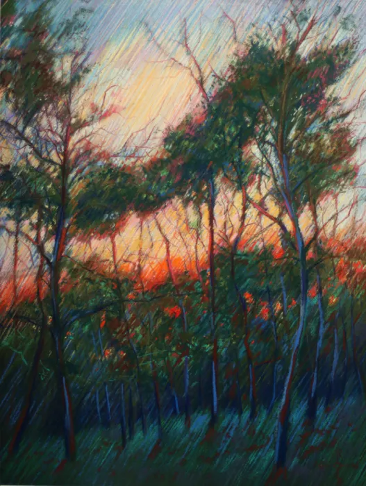 Akkers, Corné: Hatertse Vennen (Hatert Meres) 09 (2014)