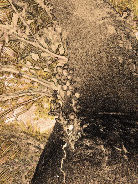 ch, Santhosh: Texturas de la naturaleza
