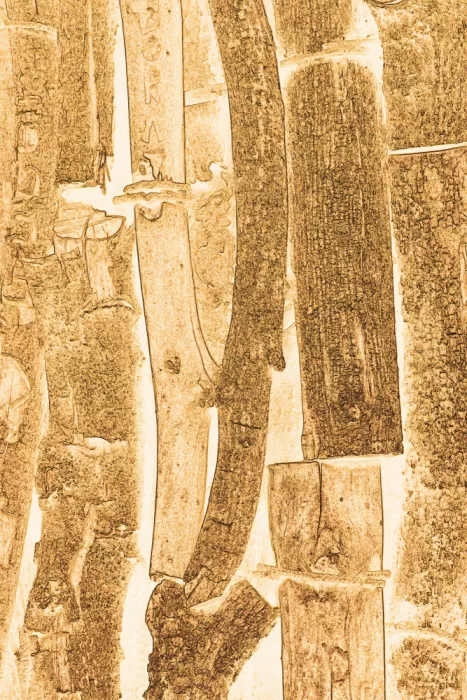 ch, Santhosh: Textura del tiempo