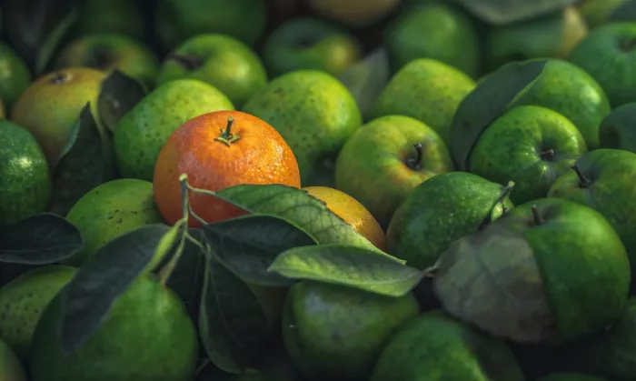 DDiArte: orange