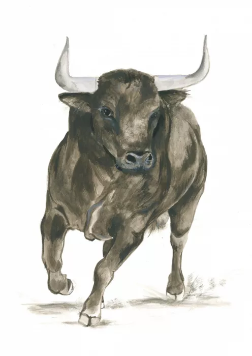 Brent, Isabelle: Poder del Toro Embistiendo