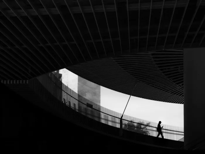 ISHIKAWA, HISASHI: Silhouette