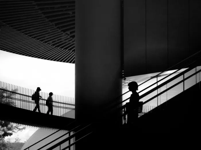 ISHIKAWA, HISASHI: Silhouette