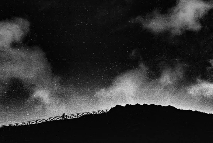 Abrantes, Paulo: Wuthering Heights