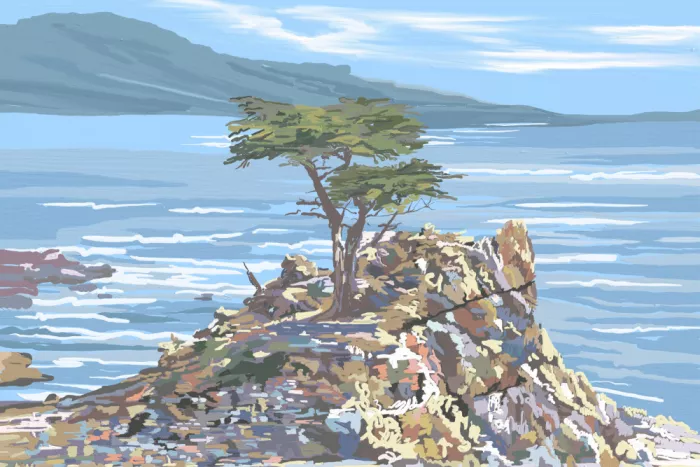 Alheit, Jenna: Sentinella silenziosa, 17 Mile Drive, California, USA