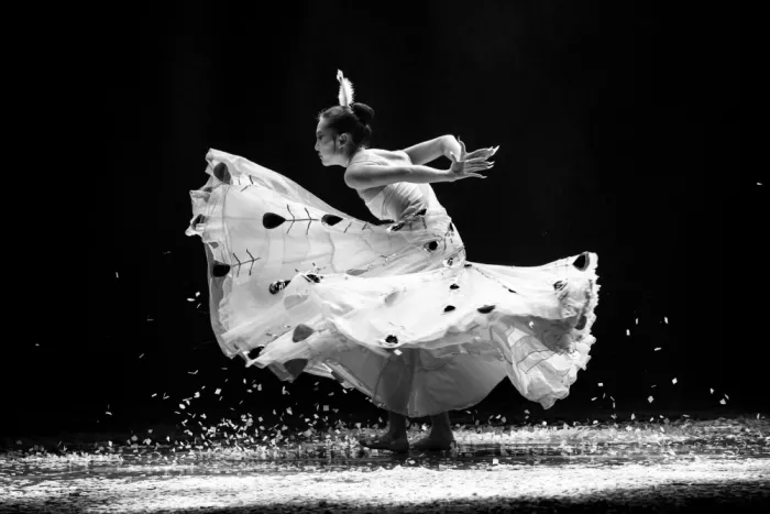 WONG, LIANG TWEE: Peacock dance