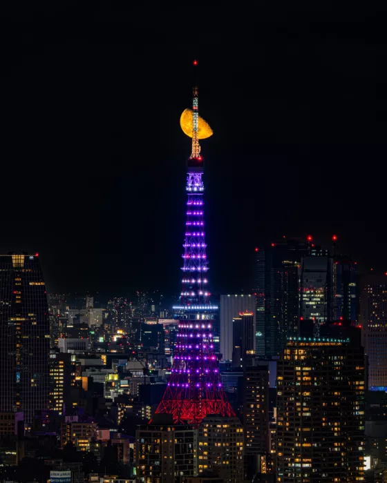 Kuong, Nazca: Una Notte a Tokyo
