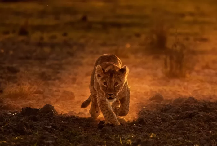 LI, MIN: Bebé corriendo