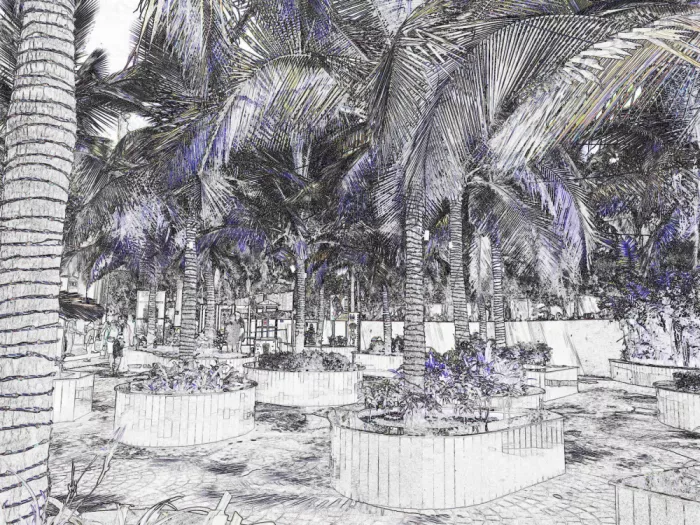 ch, Santhosh: Refugio de Oasis de Palmeras