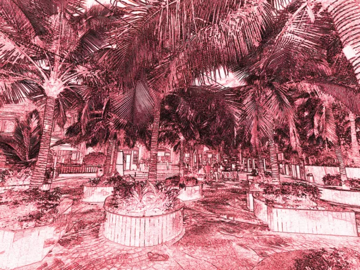 ch, Santhosh: Refugio tropical