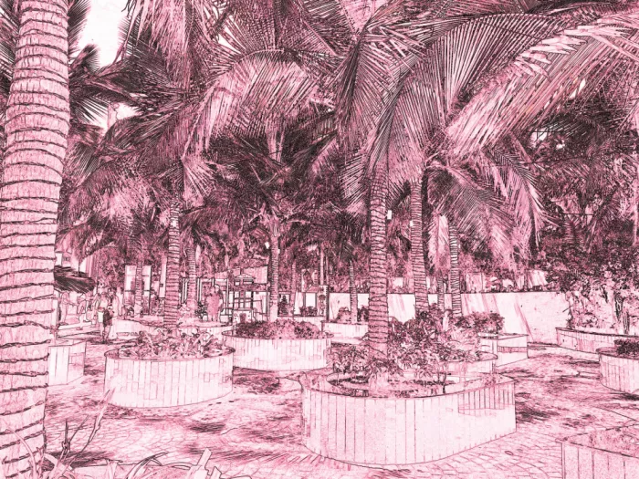ch, Santhosh: Escena de oasis tropical