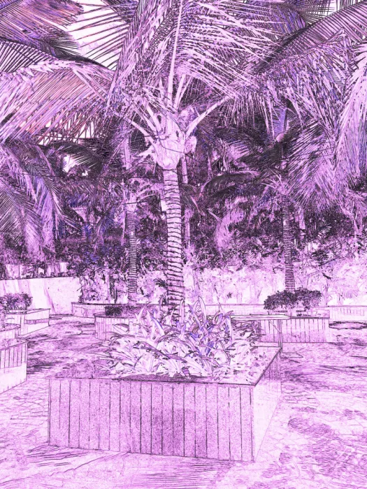 ch, Santhosh: Encanto tropical