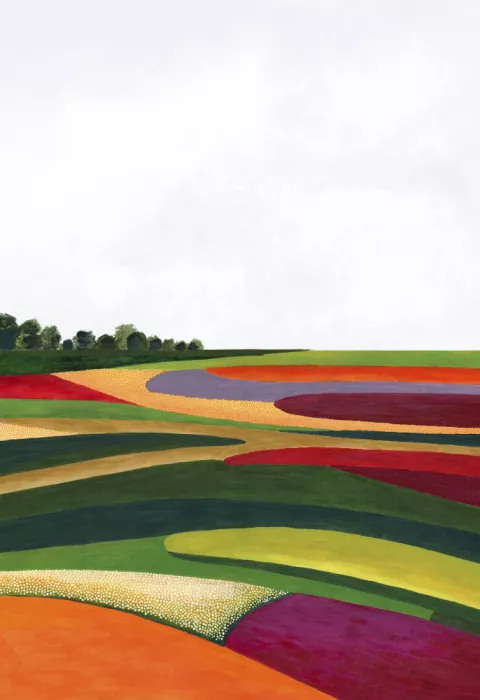 Blursbyai, Laiz Rosana: Farben auf der Wiese