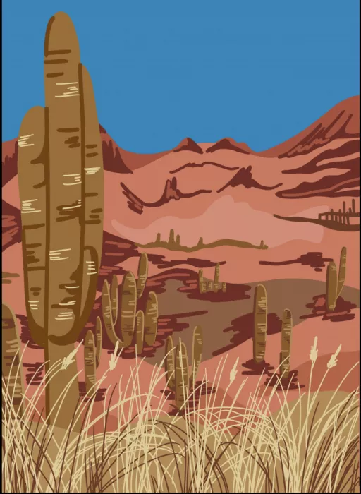 Illustration, Anis: Kaktusová poušť